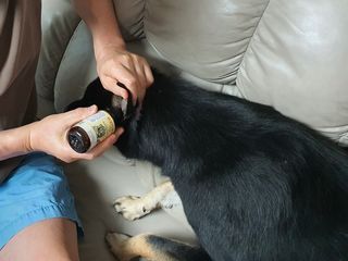 냥이님이 올린 리뷰 사진 2
