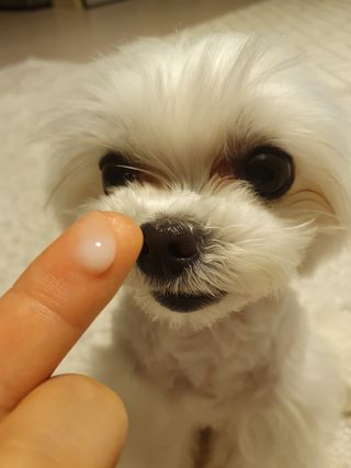 버츠비 케어플러스 릴리빙포앤노즈로션 — 5점을 준 리뷰어가 2021년 4월 올린 사용 사진