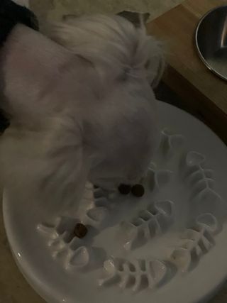 salamba님이 올린 리뷰 사진 4