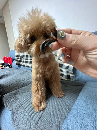 harumom님이 올린 리뷰 사진 3
