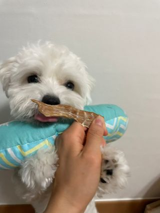 냥냥이님이 올린 리뷰 사진 4