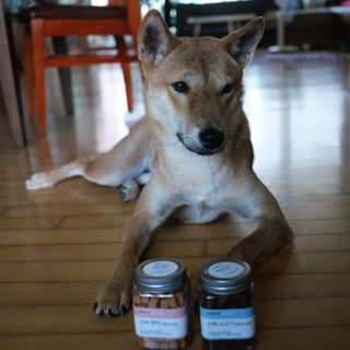 페페로니 진짜 오메가3 연어+소고기 180g+180g — 5점을 준 리뷰어가 2021년 7월 올린 사용 사진