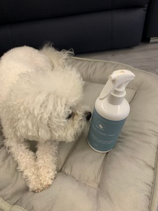 큐티윤님이 올린 리뷰 사진 2