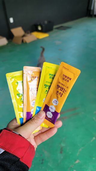 페페로니 맛있는 스틱 - 무항생제 닭고기 15개 + 원양선 참치 15개 — 5점을 준 리뷰어가 2021년 8월 올린 사용 사진