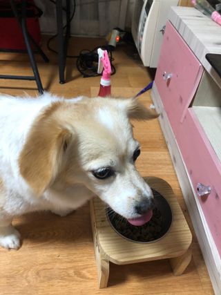 ㅇㅅㅇ님이 올린 리뷰 사진 4