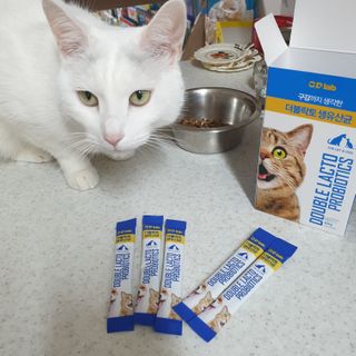 씨디랩 장 건강과 구강 건강을 한 번에 더블락토 강아지 고양이 유산균 — 5점을 준 리뷰어가 2021년 1월 올린 사용 사진