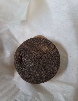 콩알맘님이 올린 리뷰 사진 3