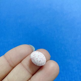 프로밍님이 올린 리뷰 사진 4