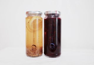 공간알파 시그니처 계화코디얼 + 크랜베리청 2종 세트 — 5점을 준 리뷰어가 2021년 10월 올린 사용 사진