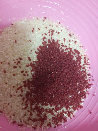하나로라이스 기능성쌀 5종 1kg  환경을 생각한 다회용 용기 사용 — 5점을 준 리뷰어가 2022년 1월 올린 사용 사진