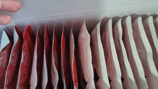 유자님이 올린 리뷰 사진 3