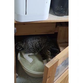고갱님님이 올린 리뷰 사진 2