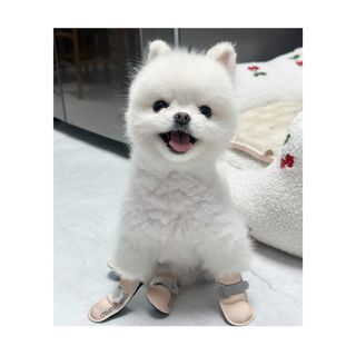 kibomi09님이 올린 리뷰 사진 1
