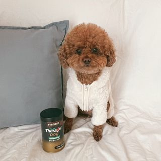 조이님이 올린 리뷰 사진 1