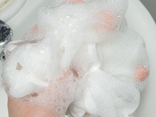 텃새님이 올린 리뷰 사진 4