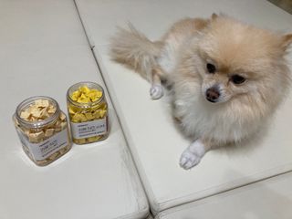 페페로니 진짜 프리바이오틱스 치즈+치즈고구마 180g+180g — 5점을 준 리뷰어가 2021년 7월 올린 사용 사진