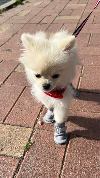 제리님이 올린 리뷰 사진 2