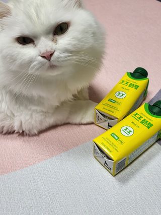 Woo7C님이 올린 리뷰 사진 4