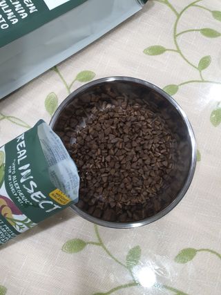 [푸디웜] 라포그  리얼인섹트 웨이트밸런스 저알러지 강아지 사료  1.2KG — 5점을 준 리뷰어가 2021년 7월 올린 사용 사진