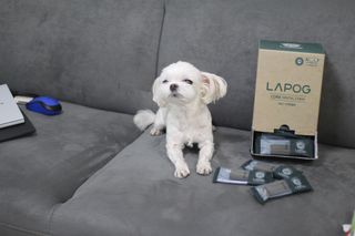희온느님이 올린 리뷰 사진 2