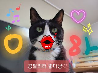 채원님이 올린 리뷰 사진 4