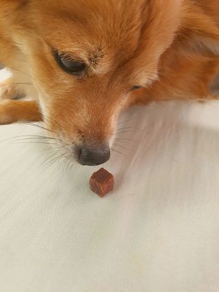 Hailey님이 올린 리뷰 사진 2