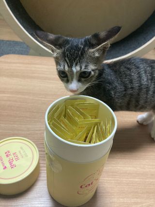 KyoungWonJang님이 올린 리뷰 사진 3