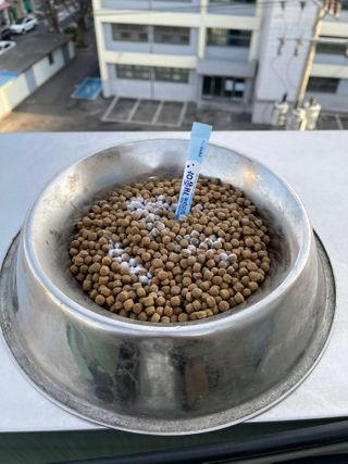 바니짱님이 올린 리뷰 사진 4