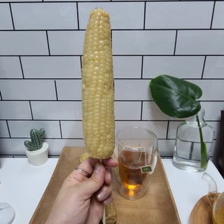 지니야님이 올린 리뷰 사진 1