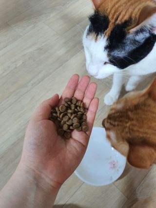 함미선님이 올린 리뷰 사진 3