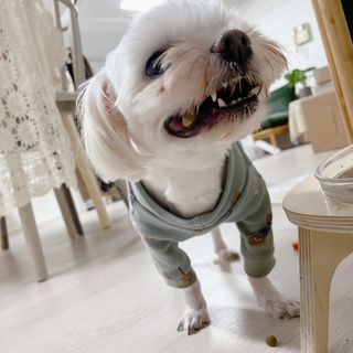 데일리갱님이 올린 리뷰 사진 4