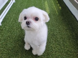 도롱님이 올린 리뷰 사진 4