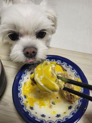 뽀오오옹님이 올린 리뷰 사진 3