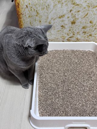 김바다님이 올린 리뷰 사진 2