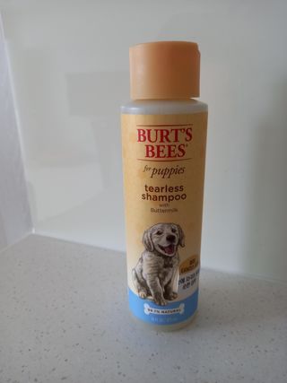 이시은님이 올린 리뷰 사진 3