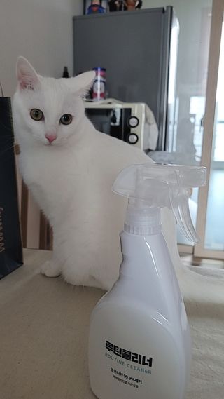 대박이님이 올린 리뷰 사진 1