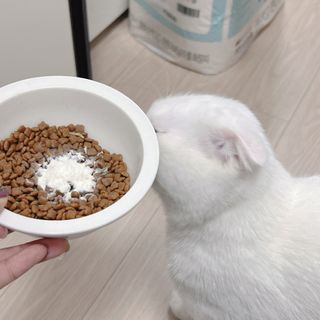 소원구르밍님이 올린 리뷰 사진 2