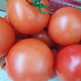 레드닥터 완숙토마토 + 통째로 동결건조한 대추방울토마토 — 4.5점을 준 리뷰어가 2022년 12월 올린 사용 사진