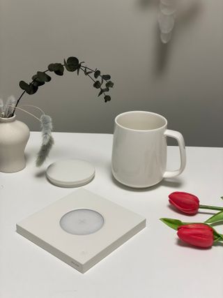 서라님이 올린 리뷰 사진 2