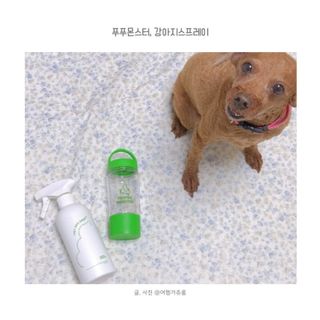 쥬롱이님이 올린 리뷰 사진 1