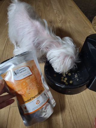 마이쭈님이 올린 리뷰 사진 1
