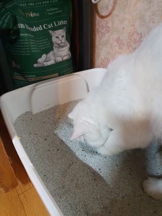 씨고님이 올린 리뷰 사진 2