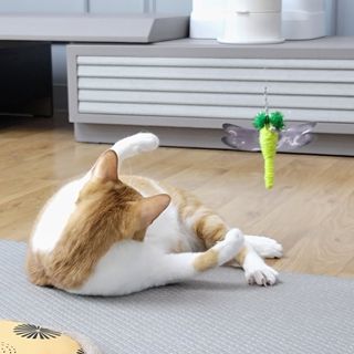 jenny님이 올린 리뷰 사진 2