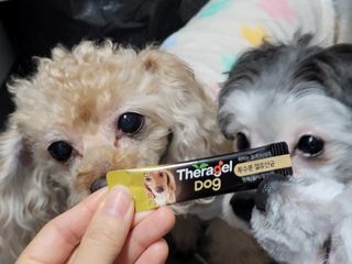 김이설님이 올린 리뷰 사진 2