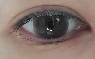 토이님이 올린 리뷰 사진 2