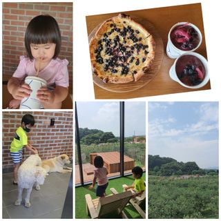 sharbb님이 올린 리뷰 사진 1