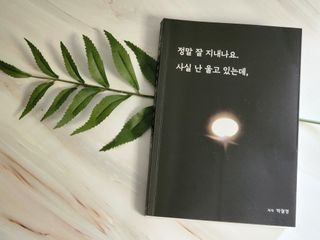 hing20님이 올린 리뷰 사진 1
