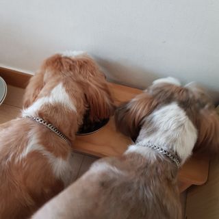 민준맘님이 올린 리뷰 사진 3