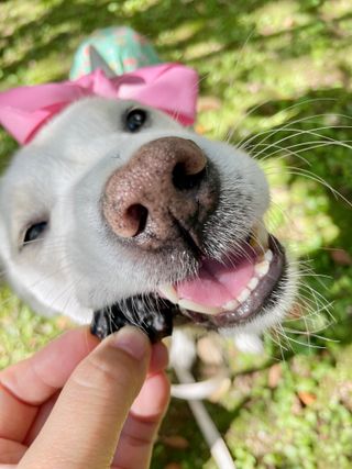 Jenny님이 올린 리뷰 사진 3