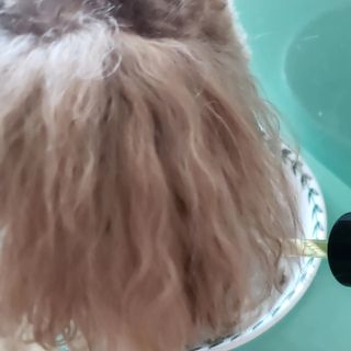 사랑해안시영님이 올린 리뷰 사진 2